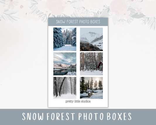 Snow Forest Photo Boxes Sticker Sheets