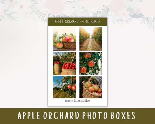 Apple Orchard Photo Boxes Sticker Sheet